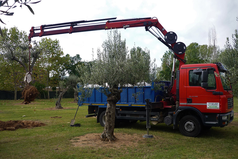 20transports-i-obres-llica-damunt-pou-padros
